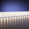 Светодиодная лента MAYTONI ULTRA 201200